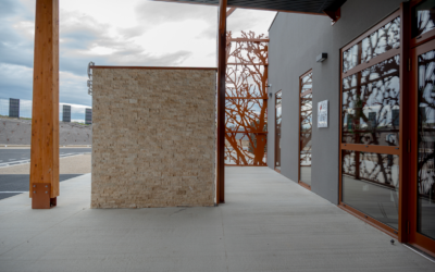 Grandes baies vitrées aluminium : maximiser la lumière naturelle à Reims