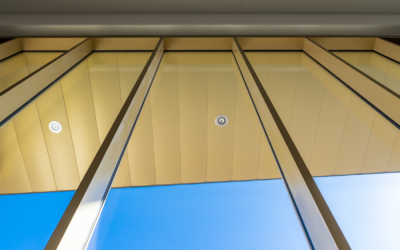 Fenêtre aluminium ou bois : avantages, prix et entretien